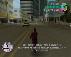 Grand Theft Auto: Vice City